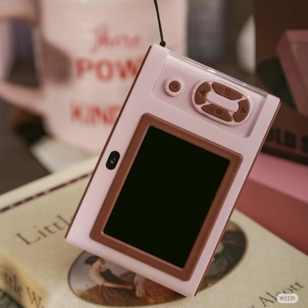 electronic accessory